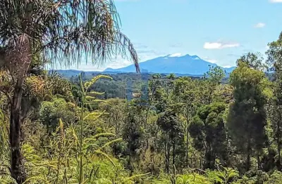 Chácara para venda em campina grande do sul, roseira