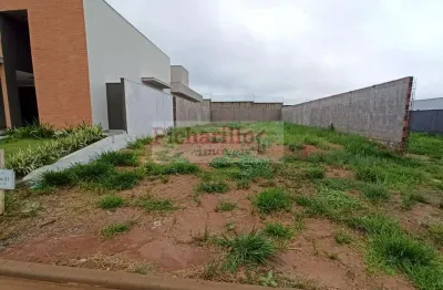 Terreno à venda na Passeio das Magnólias, 1060, Parque Faber Castell IV, São Carlos