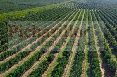Fazenda para venda em marília, centro, 5 dormitórios, 5 suítes, 5 banheiros