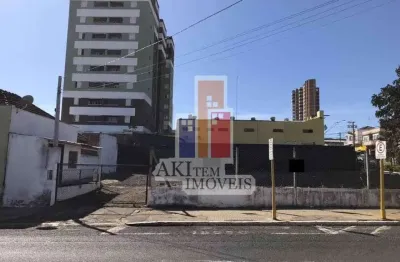 Terreno comercial para alugar no Centro, Bauru 