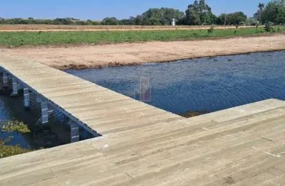 Terreno à venda no Centro, Zacarias 