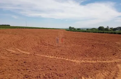 Fazenda à venda na Zona Rural, Garça 
