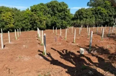 Sítio para venda com 73000 m² e 2 quartos em vila ipiranga, bauru - sp