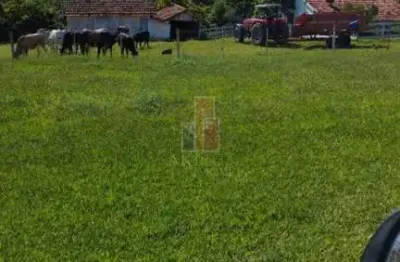 Sítio em área rural de cabrália paulista, (cabrália paulista) - sp