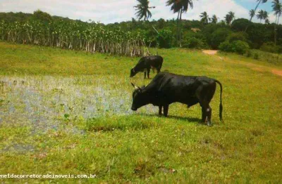 Fazenda para venda em extremoz, capim -extremoz, 3 dormitórios, 1 suíte, 2 banheiros, 6 vagas
