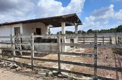 Granja para venda em macaíba, centro, 2 dormitórios, 3 banheiros, 9 vagas