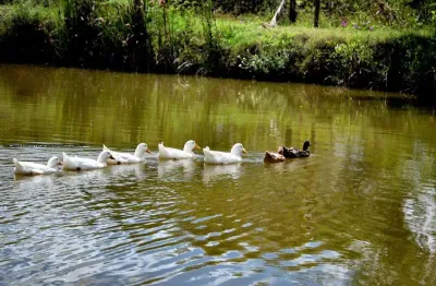 Casa em condomínio para venda em macaíba, área rural de macaíba, 3 dormitórios, 1 suíte, 3 banheiros, 6 vagas