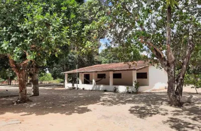 Chácara / sítio à venda na Rua Rodolfo Maranhão- Cana Brava, S/N, Centro, Macaíba