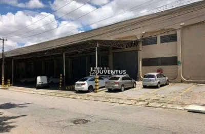 Galpão para alugar, 5271 m² por r$ 183.500/mês - vila leopoldina - são paulo/sp