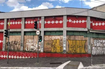 Loja para alugar, 640 m² por r$ 17.000/mês - cambuci - são paulo/sp