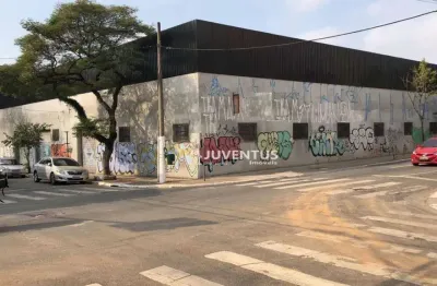 Galpão para alugar, 3000 m² por r$ 162.418/mês - cambuci - são paulo/sp