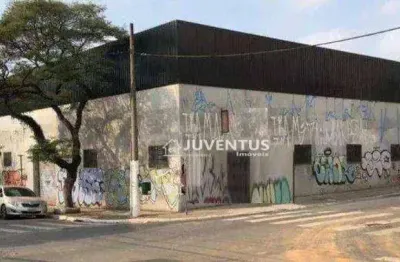 Galpão para alugar, 3300 m² por r$ 130.348,92/mês - cambuci - são paulo/sp