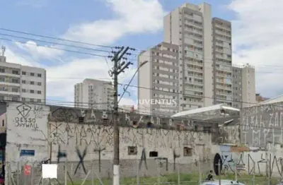 Terreno para alugar, 310 m² por r$ 16.469/mês - mooca - são paulo/sp
