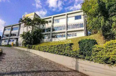 Sobrado com 4 dormitórios, 146 m² - venda por r$ 2.200.000,00 ou aluguel por r$ 7.479,87/mês - vila mariana - são paulo/sp