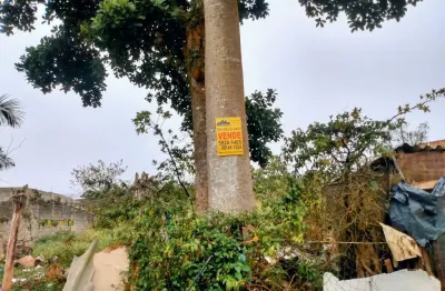 Terreno à venda na Rua Jaime Petit da Silva, Cidade Nova América, São Paulo