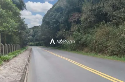 Terreno à venda na rua mato grosso, 2650, ferraria, campo largo por r$ 3.899.900