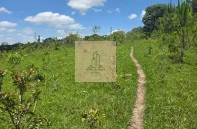 Chácara / sítio à venda na Estrada Municipal Carolina Paes Granjeiro, s/nº, Estância Ayres, Piedade