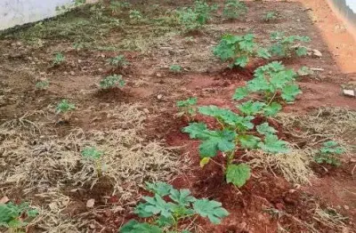 Imóvel para venda tem 210 metros quadrados em jardim panorama - salto - sp
