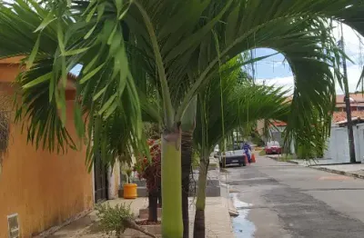 Oportunidade em arembepe – casa ampla próxima à upa