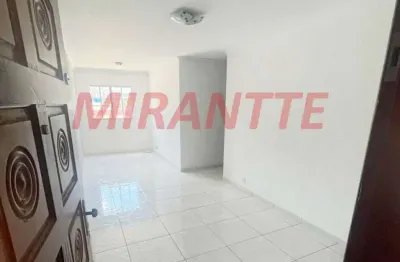 Apartamento de 54m² com 2 quartos em jardim dourado
