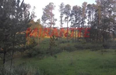 Terreno à venda na Avenida Nossa Senhora do Rosário, Rosário, Atibaia