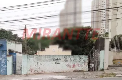 Terreno à venda na Avenida Mazzei, Tucuruvi, São Paulo