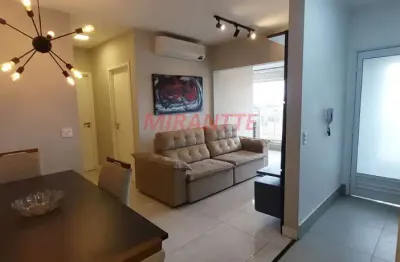 Apartamento de 62m² com 2 quartos em vila guilherme