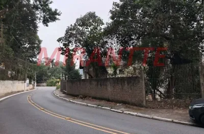 Terreno à venda na Rua Manuel Morais Pontes, Vila Albertina, São Paulo