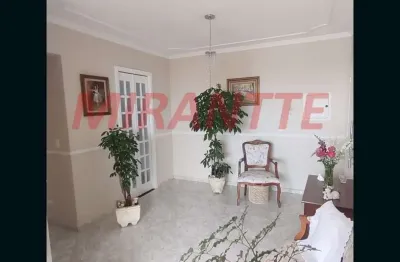 Apartamento de 51m² com 2 quartos em parque peruche