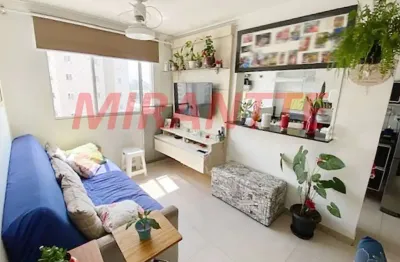 Apartamento de 54m² com 2 quartos em parque novo mundo