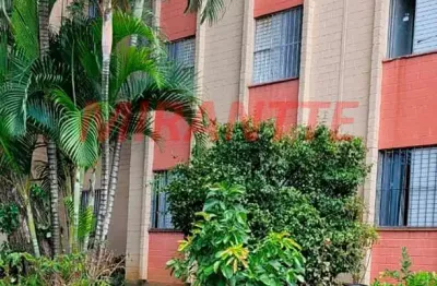 Apartamento de 50m² com 2 quartos em vila albertina