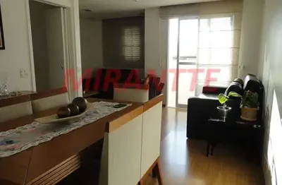 Apartamento de 66m² com 3 quartos em horto florestal