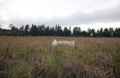 Terreno à venda, 12075 m² por R$ 299.000,00 - Jardim Primavera - Piraquara/PR