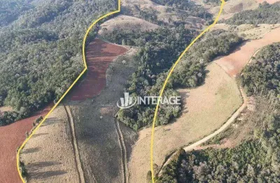 Terreno à venda, 209000 m² por r$ 1.500.000,00 - ouro fino de baixo - campo magro/pr
