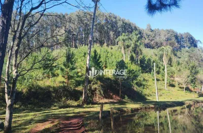 Terreno à venda, 1 m² por r$ 3.500.000 - campo largo - campo largo/paraná