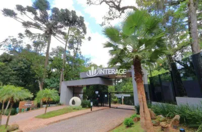 Terreno à venda, 1118 m² por r$ 1.950.000,00 - santa felicidade - curitiba/pr