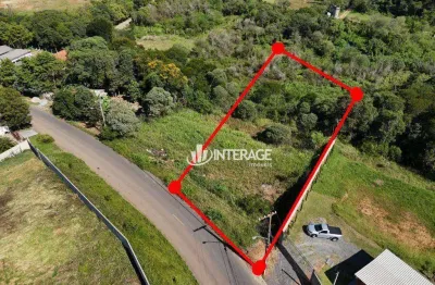 Terreno à venda, 8217 m² por r$ 670.000,00 - butiatuvinha - curitiba/pr