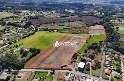 Área à venda, 46.700 m² - campina do taquaral - são josé dos pinhais/pr
