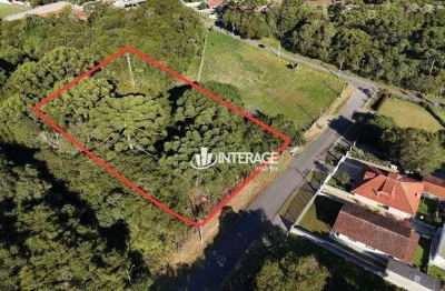 Terreno à venda, 4446 m² por r$ 1.700.000,00 - santa felicidade - curitiba/pr