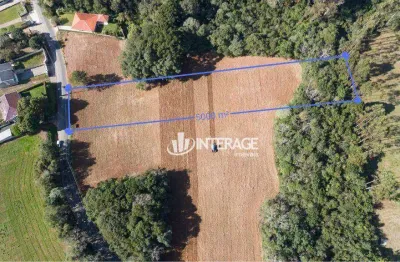 Terreno à venda, 5000 m² por r$ 750.000,00 - vila delurdes - campo largo/pr