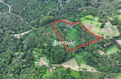 Área à venda, 24860 m² por R$ 480.000 - Bateias - Campo Largo/PR