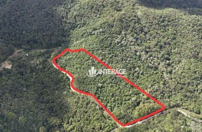 Área à venda, 27115 m² por R$ 450.000 - Bateias - Campo Largo/PR