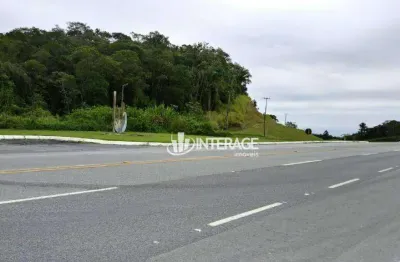 Terreno à venda, 121000 m² por r$ 20.000.000,00 - alexandra - paranaguá/pr