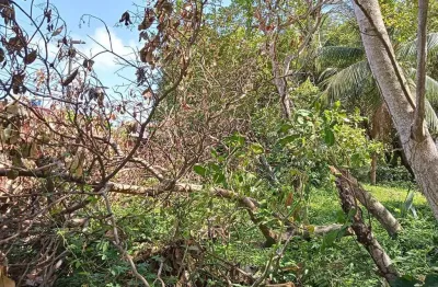 Terreno à venda no Ponta Negra, Natal 