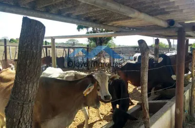 Fazenda à venda na Traíras, Traíras, Macaíba
