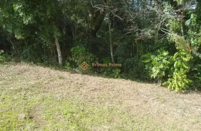 Terreno a 50 mts da br 476 - mariental - lapa - pr - r  160.000,00
