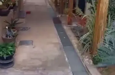 Apartamento com 2 quartos à venda na Alameda dos Comerciantes, Cândida Ferreira, Contagem