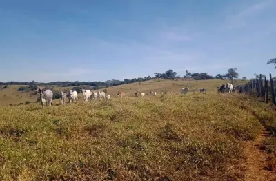 Fazenda à venda na Praça Do Cruzeiro, Centro, Crucilândia