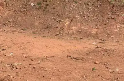 Terreno à venda na Pedro Narciso Campos, Bosques de Ibirité, Ibirité