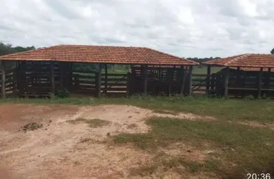 Fazenda à venda na Rua Olegário Maciel, Centro, Manga
